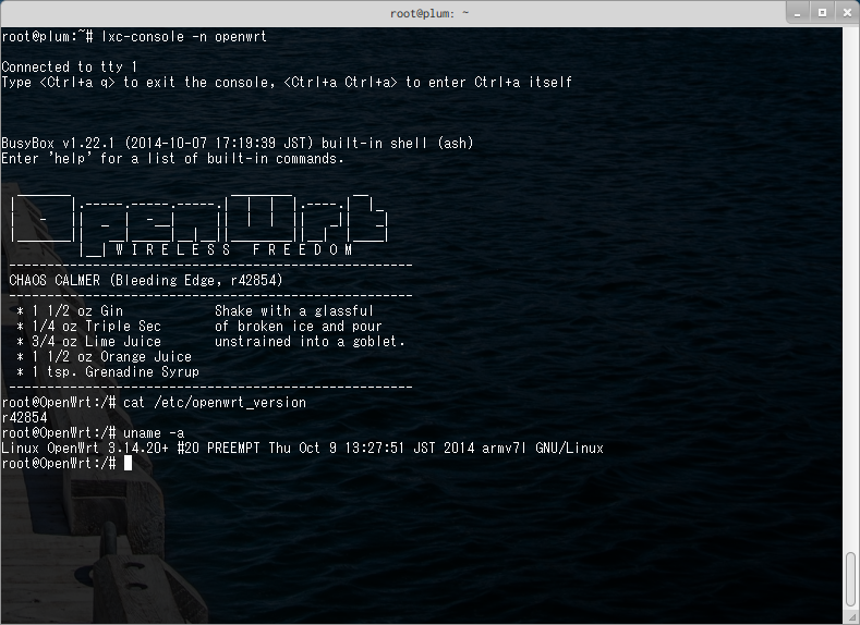 Attach to OpenWRT on LXC